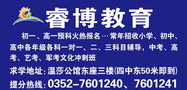 探索服務(wù)型教育咨詢 大同市城區(qū)睿博教育信息咨詢中心的實(shí)踐與啟示